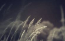 goldmund-now