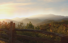 pigeon_forge