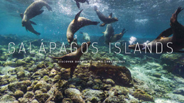 Google “Galapagos”